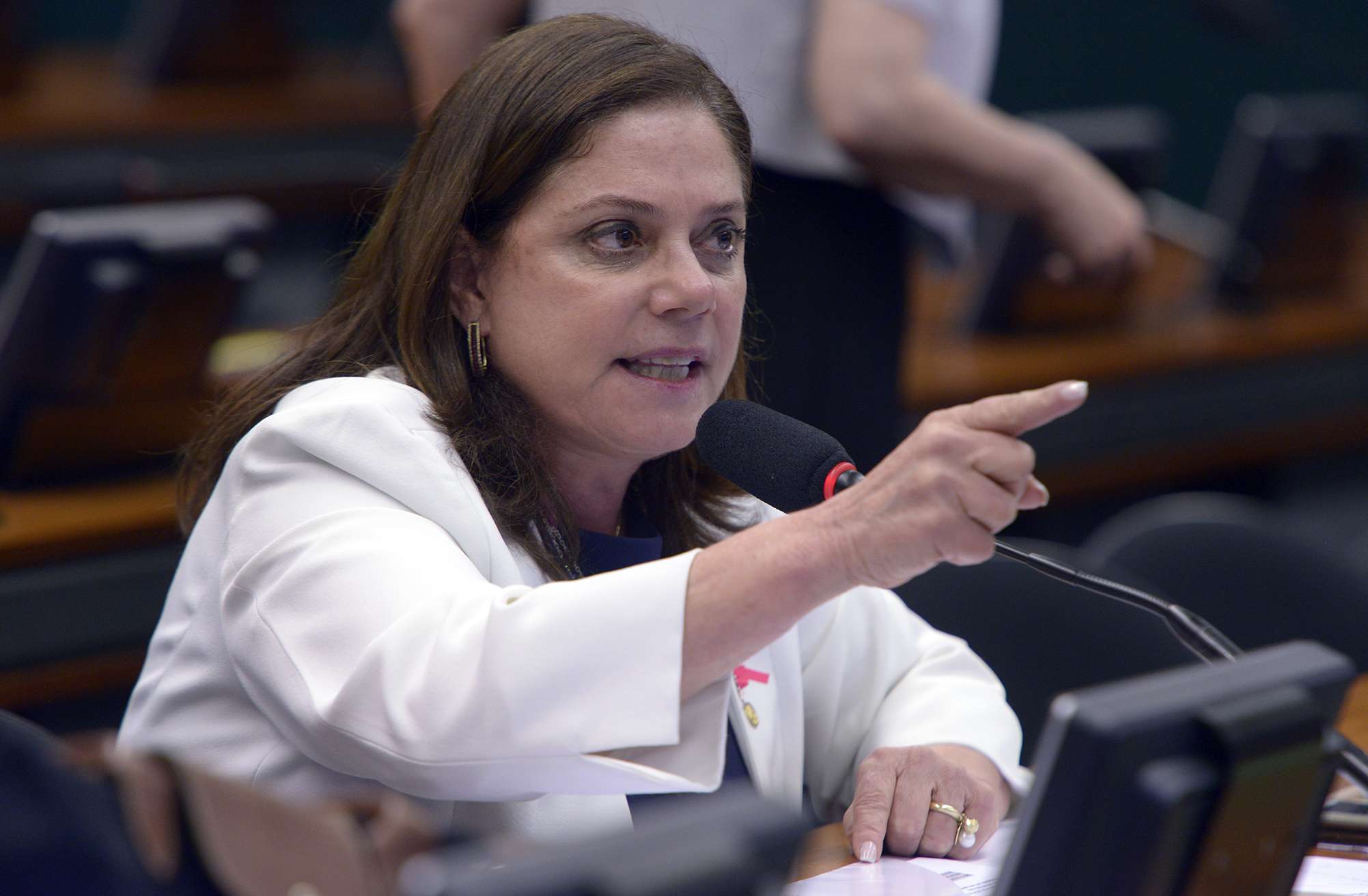 Reunião Ordinária. Dep. Soraya Santos (PMDB-RJ)